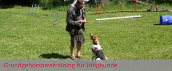 Grundgehorsamstraining für Junghunde